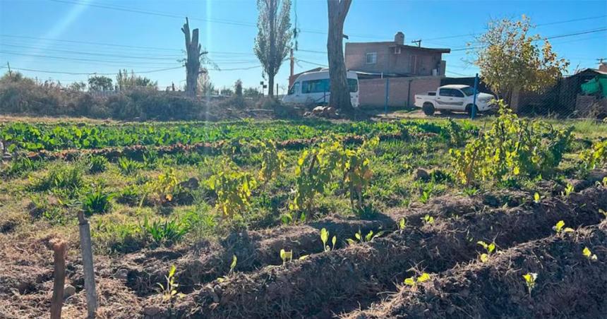 Echaron a un empleado municipal por tener sexo con una compantildeera