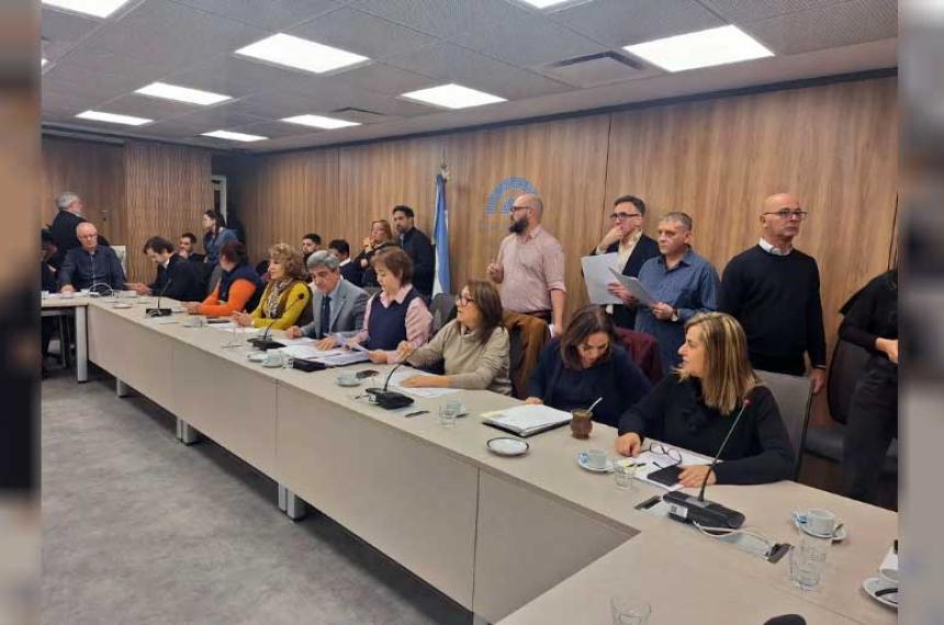Diputados avanza con dictaacutemenes para declarar la emergencia en Garrahan por 2 antildeos