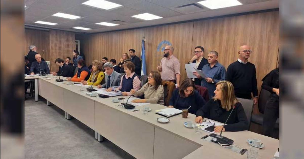 Diputados avanza con dictaacutemenes para declarar la emergencia en Garrahan por 2 antildeos