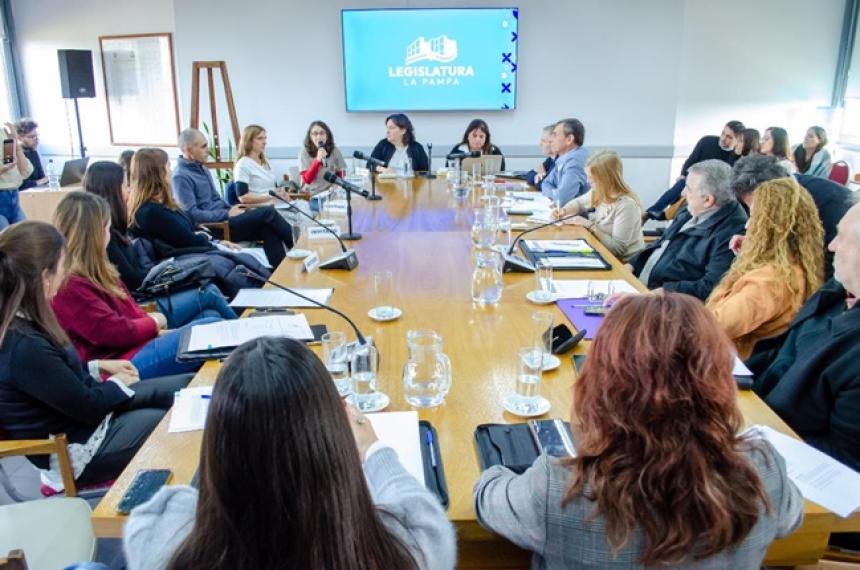 Avanza en Diputados la modificacioacuten de la ley de terapeutas 