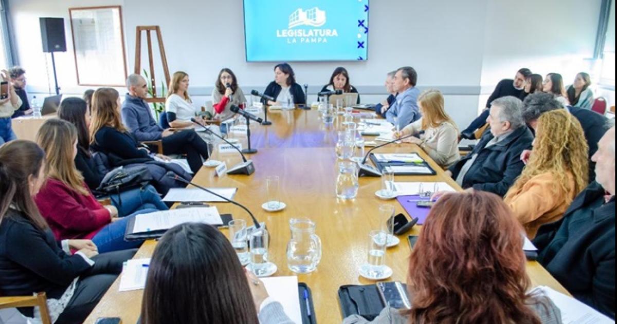 Avanza en Diputados la modificacioacuten de la ley de terapeutas 