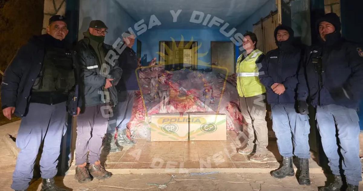 Neuqueacuten- secuestraron 4800 kilos de carne que iba desde La Pampa 