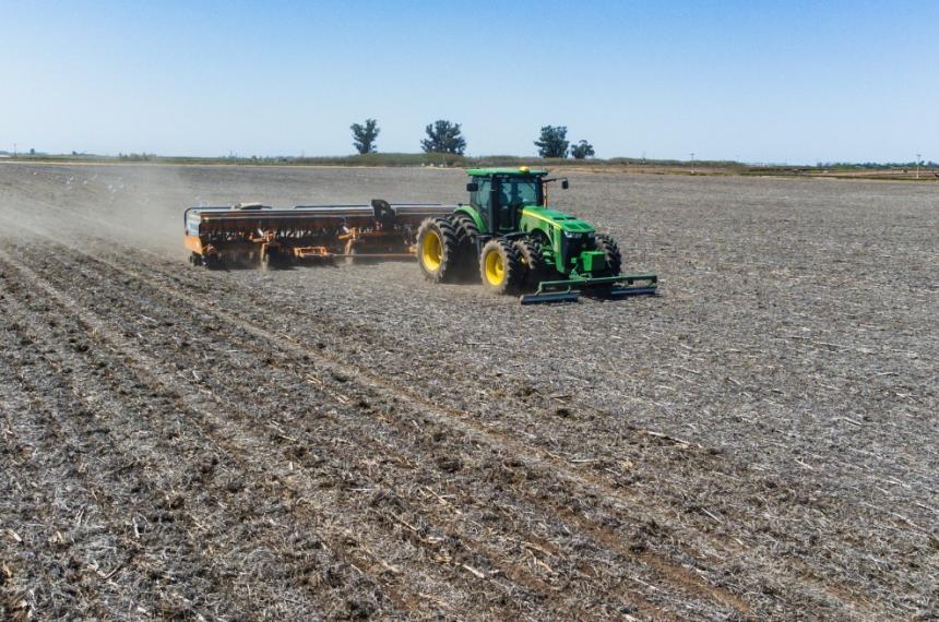 Trigo en La Pampa- coacutemo dominarel invierno para potenciar la cosecha