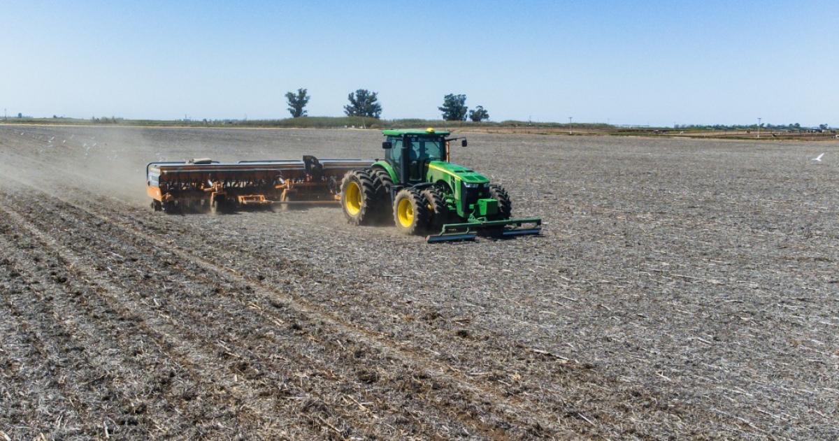 Trigo en La Pampa- coacutemo dominarel invierno para potenciar la cosecha