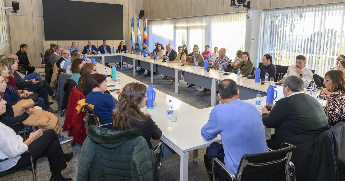 Profesionales- Estamos juntos en esta lucha justa