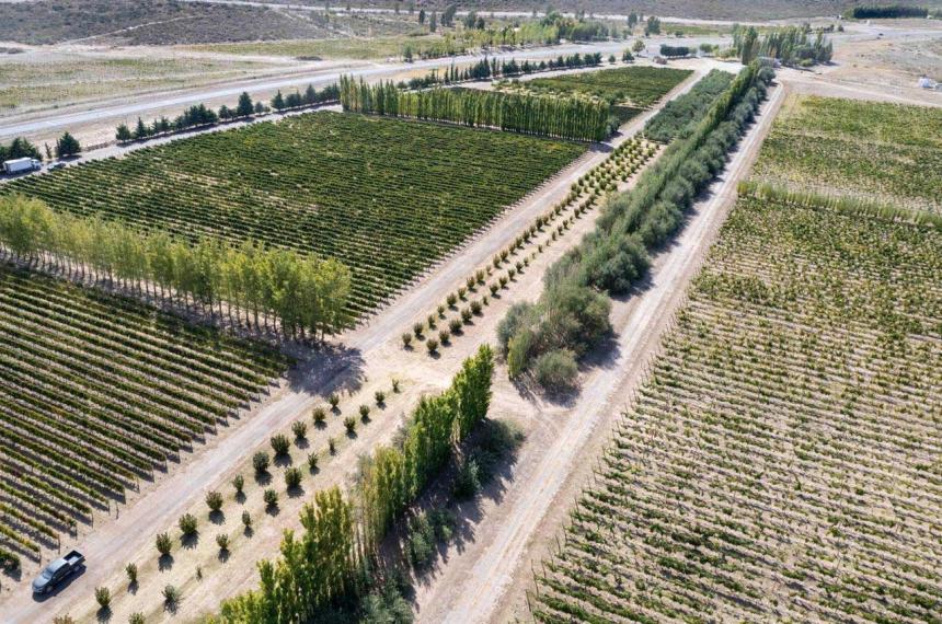 Casa de Piedra- La Pampa avanza para alcanzar 1095 hectaacutereas bajo riego en 2026