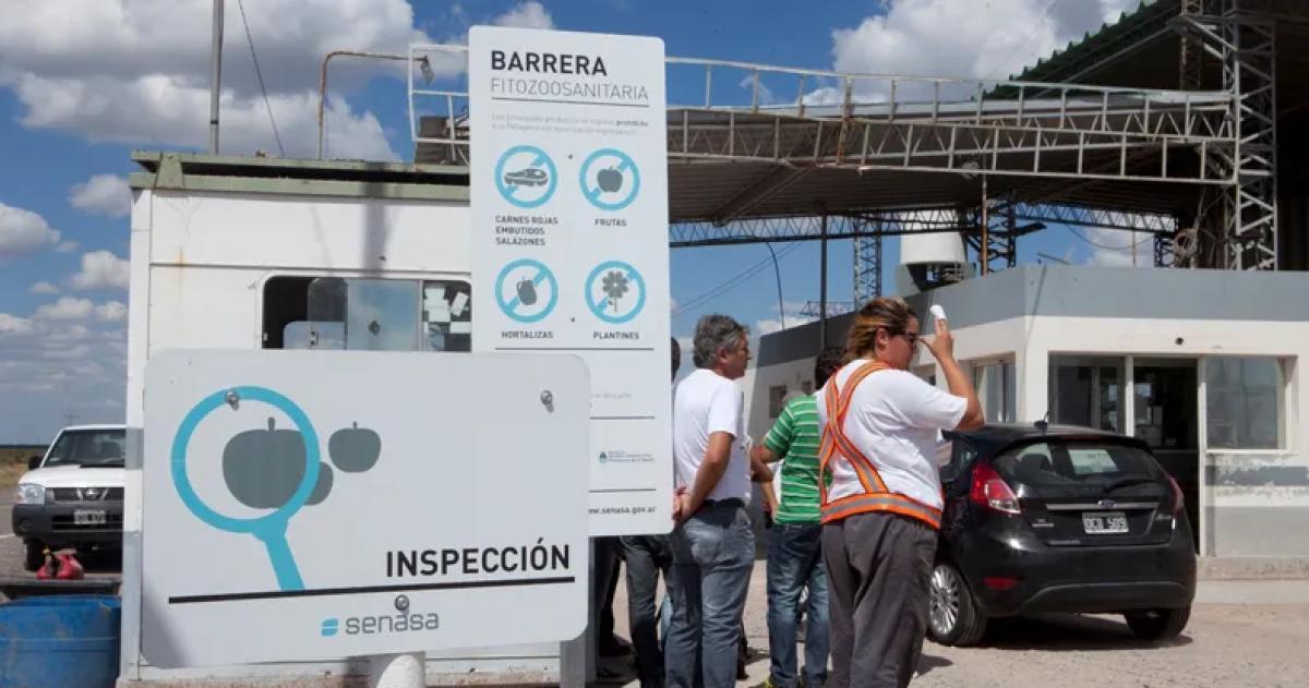 Barrera Sanitaria- Senasa mantiene la restriccioacuten al ingreso de carne con hueso