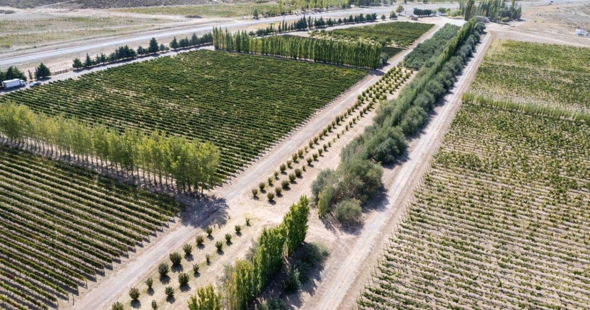 Casa de Piedra- La Pampa avanza para alcanzar 1095 hectaacutereas bajo riego en 2026