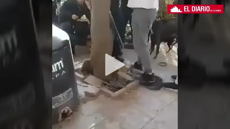 Operativo policial dejoacute una perra muerta en Villa Germinal