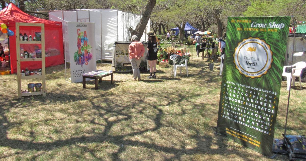 La Policiacutea Federal incautoacute semillas y plantines de marihuana en Pampa Feacutertil