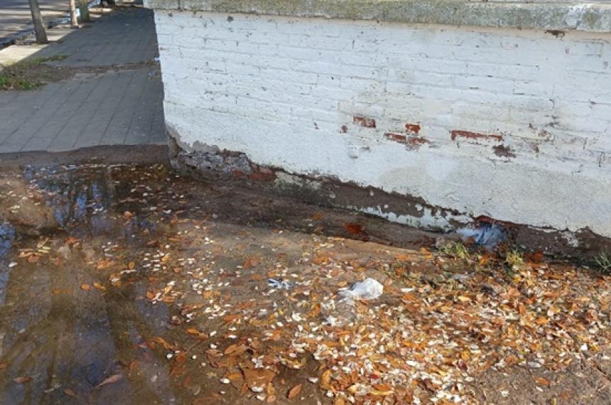 Sin respuestas a una peacuterdida de agua potable en el centro de Santa Rosa