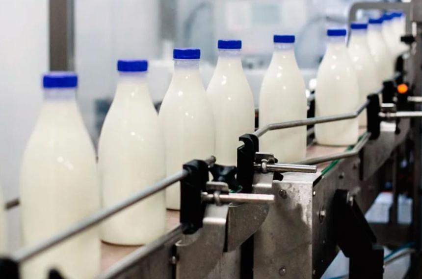 El sector laacutecteo mostroacute una recuperacioacuten del 11-en-porciento- en medio de altos precios en doacutelares