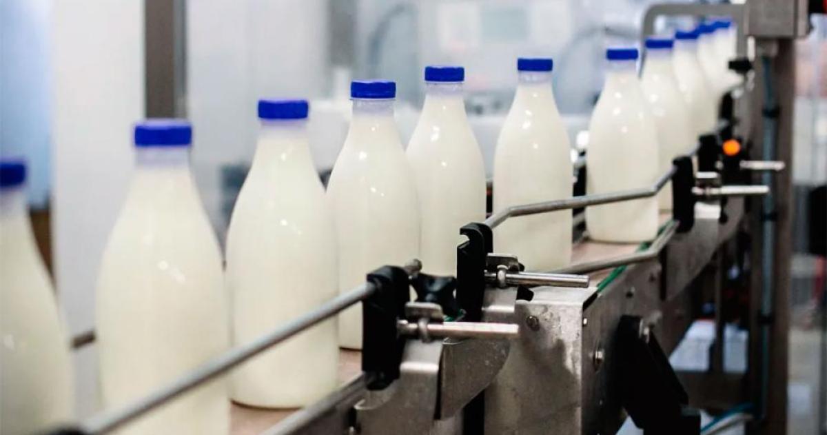 El sector laacutecteo mostroacute una recuperacioacuten del 11-en-porciento- en medio de altos precios en doacutelares