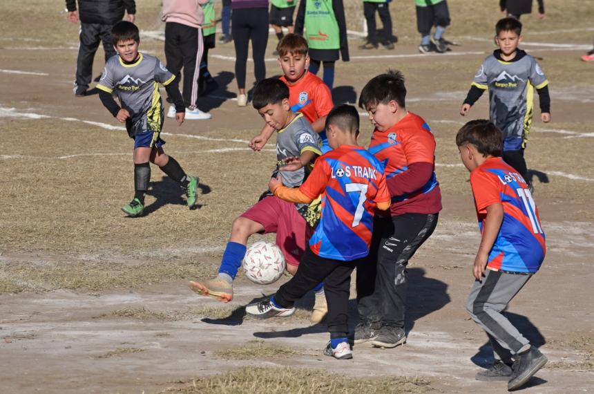 Muchos goles y sonrisas en Cebollitas 