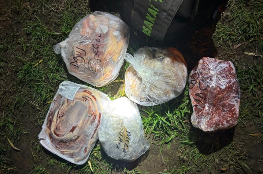 Roboacute carne del freezer de una vivienda y fue detenido