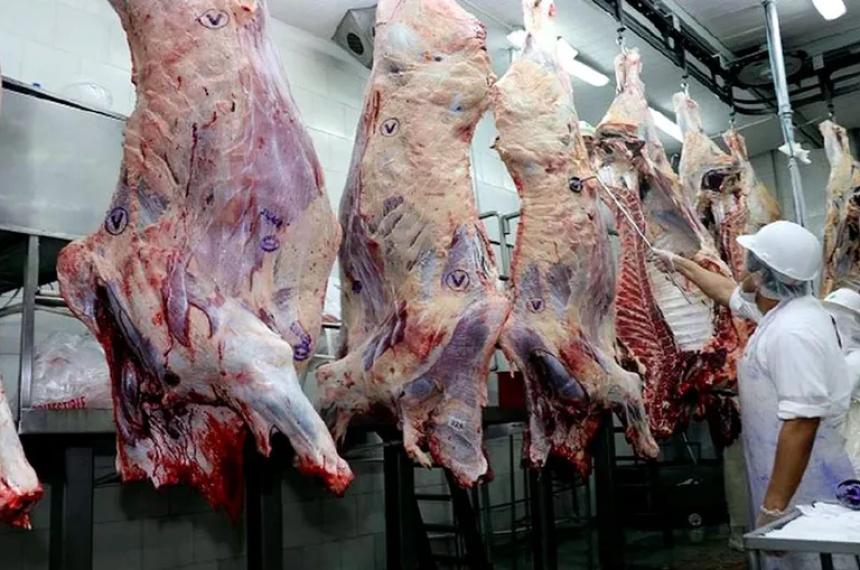 Barrera sanitaria- presentaron un recurso de nulidad al Senasa en Riacuteo Negro