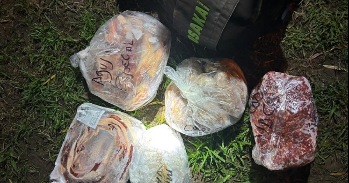 Roboacute carne del freezer de una vivienda y fue detenido