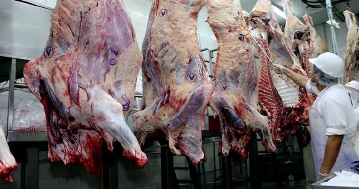 Barrera sanitaria- presentaron un recurso de nulidad al Senasa en Riacuteo Negro