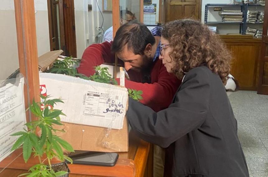 La justicia federal ordenoacute devolver los plantines a Pampa Feacutertil 