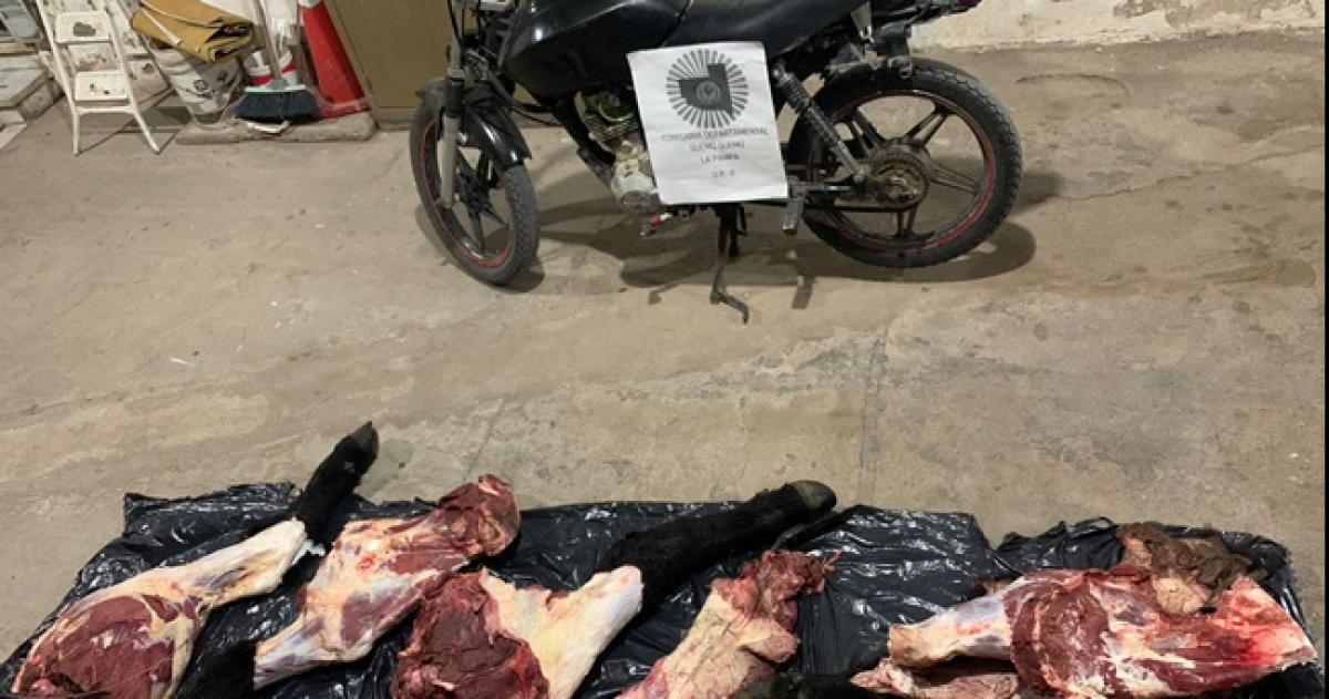 Dos detenidos por abigeato en Quemuacute Quemuacute 