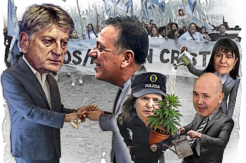 Hay que regar la plantita