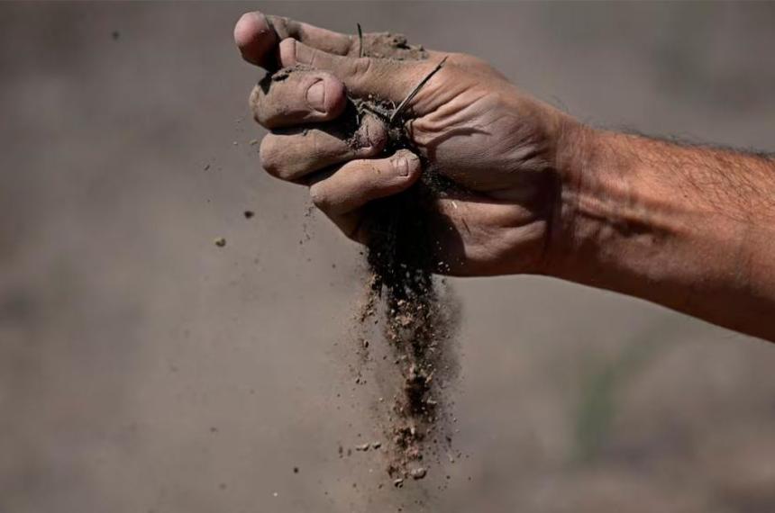 Coacutemo recuperar la tierra vieja del jardiacuten y volverla feacutertil