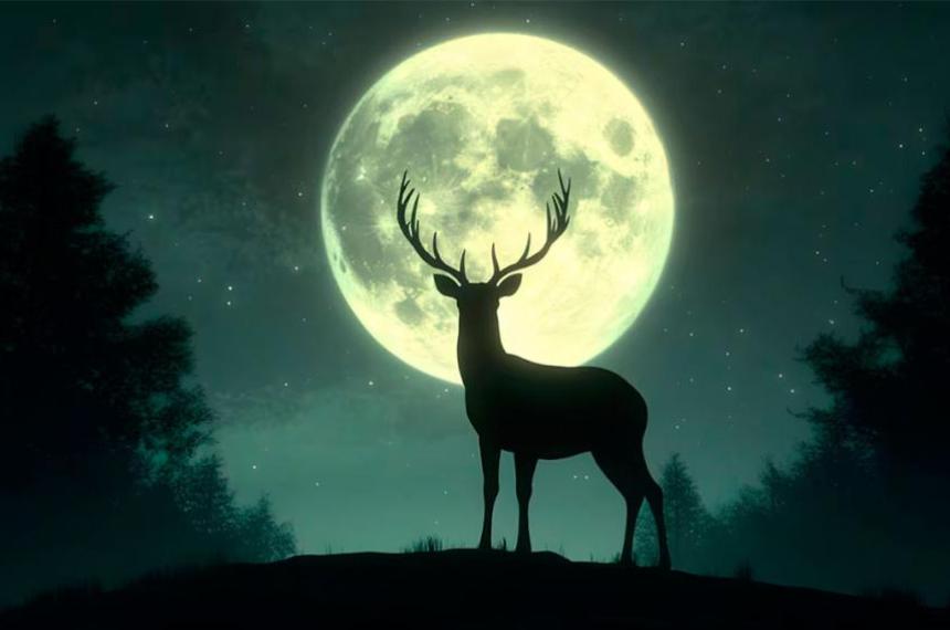 Todo sobre la Luna de Ciervo- cuaacutendo verla y queacute significa este fenoacutemeno lunar