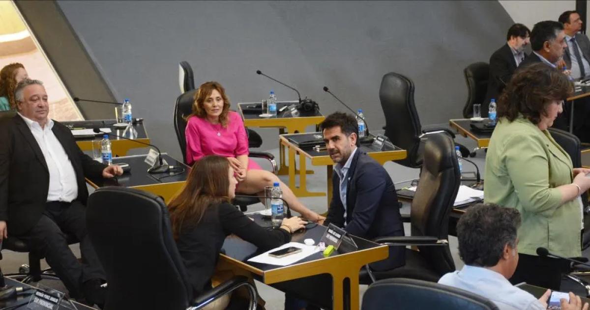 Fuerte cruce de los diputados oficialistas contra el Ejecutivo por la concesioacuten de Medanito