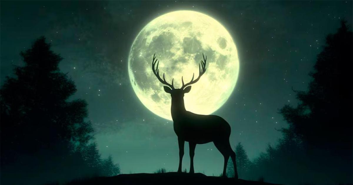 Todo sobre la Luna de Ciervo- cuaacutendo verla y queacute significa este fenoacutemeno lunar
