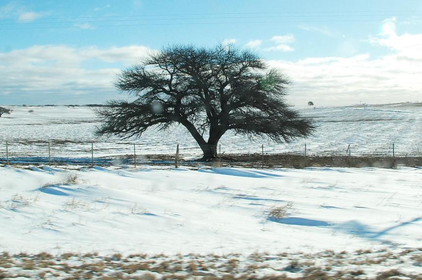 Anuncian posibles nevadas para Santa Rosa