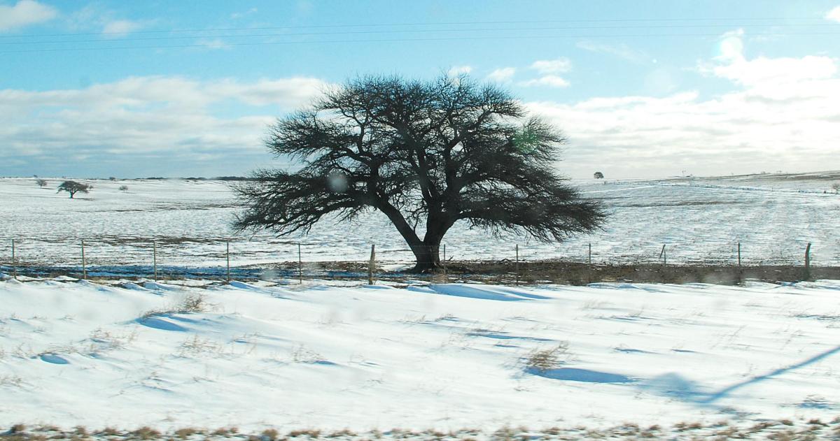 Anuncian posibles nevadas para Santa Rosa