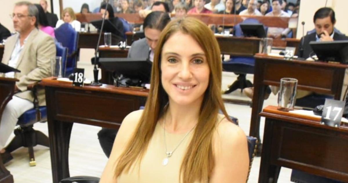 Diputada radical denuncioacute violentas agresiones de una patota