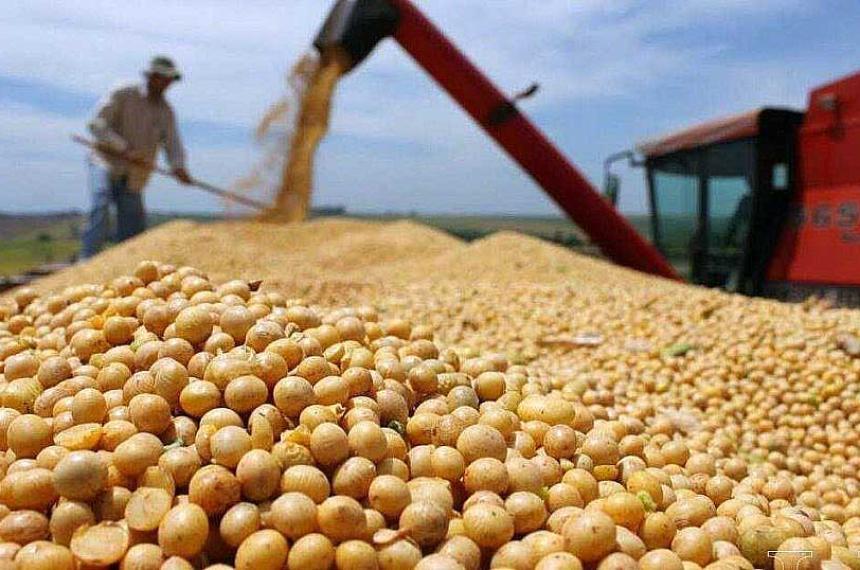 Productores del campo advirtieron al Gobierno sobre la suba de retenciones