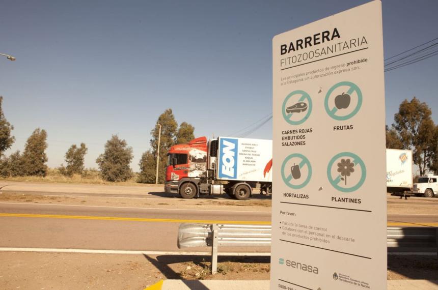 En una decisioacuten histoacuterica habilitan el asado con hueso a la Patagonia