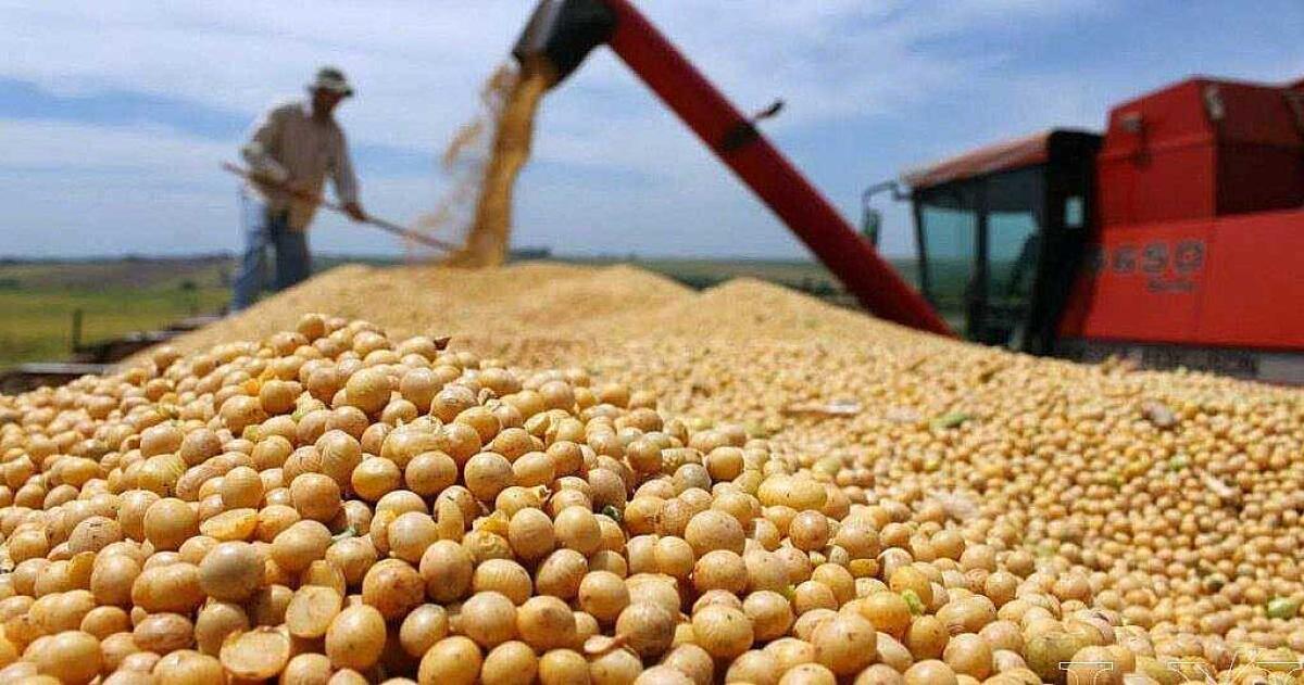 Productores del campo advirtieron al Gobierno sobre la suba de retenciones