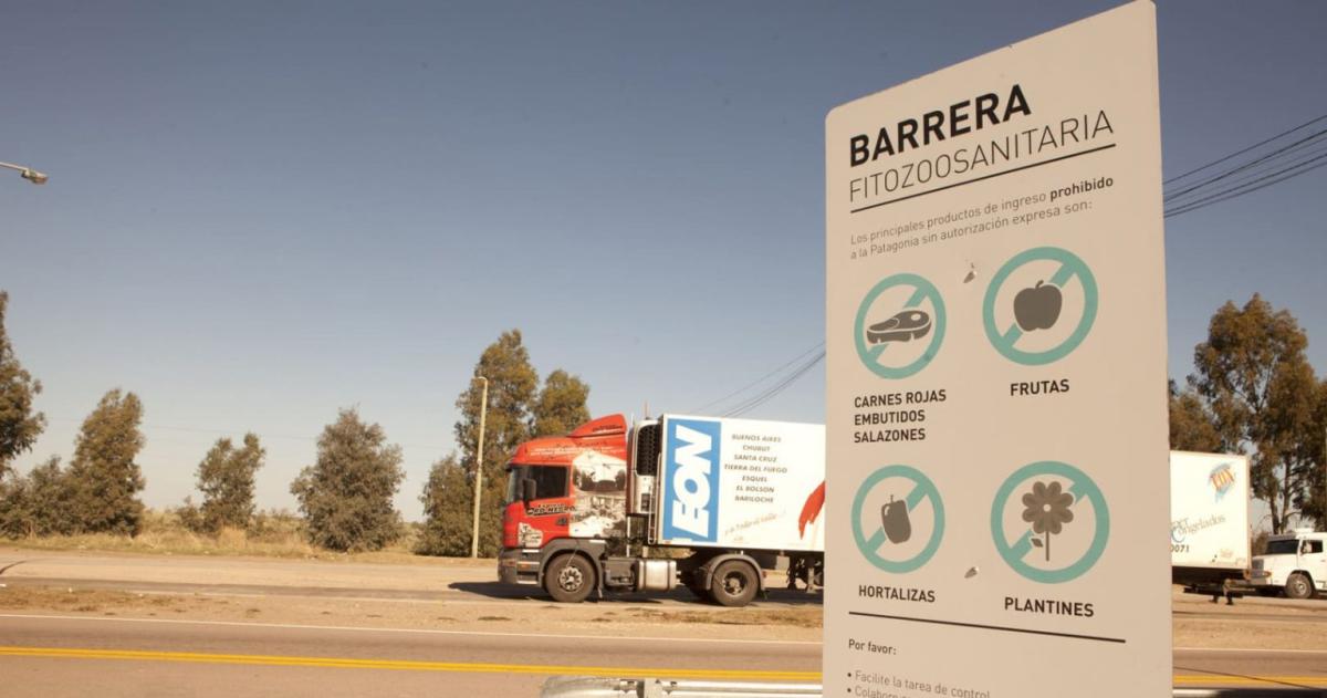 En una decisioacuten histoacuterica habilitan el asado con hueso a la Patagonia