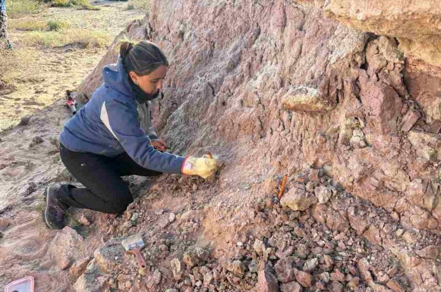 La Pampa retoma exploraciones paleontoloacutegicas en 25 de Mayo tras deacutecadas de inactividad