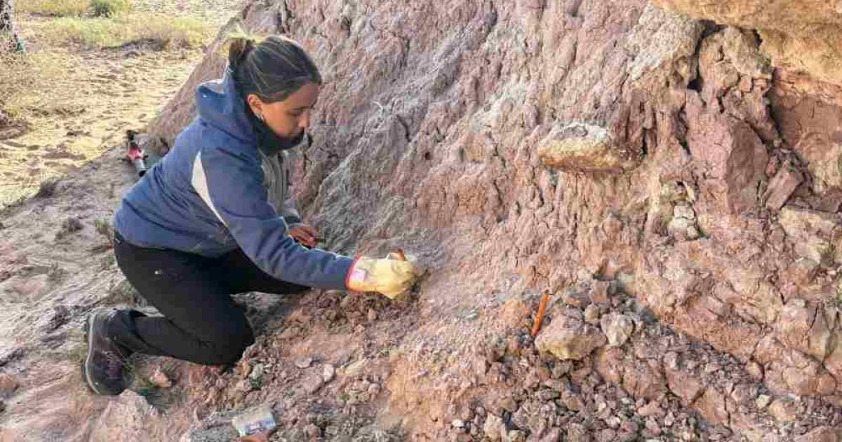 La Pampa retoma exploraciones paleontoloacutegicas en 25 de Mayo tras deacutecadas de inactividad