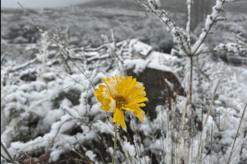 Las fotos de la nevada en el Parque Lihue Calel