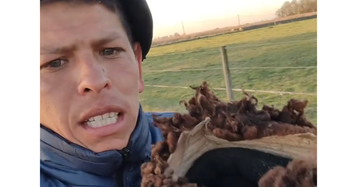 Once antildeos en el campo y un adioacutes inesperado