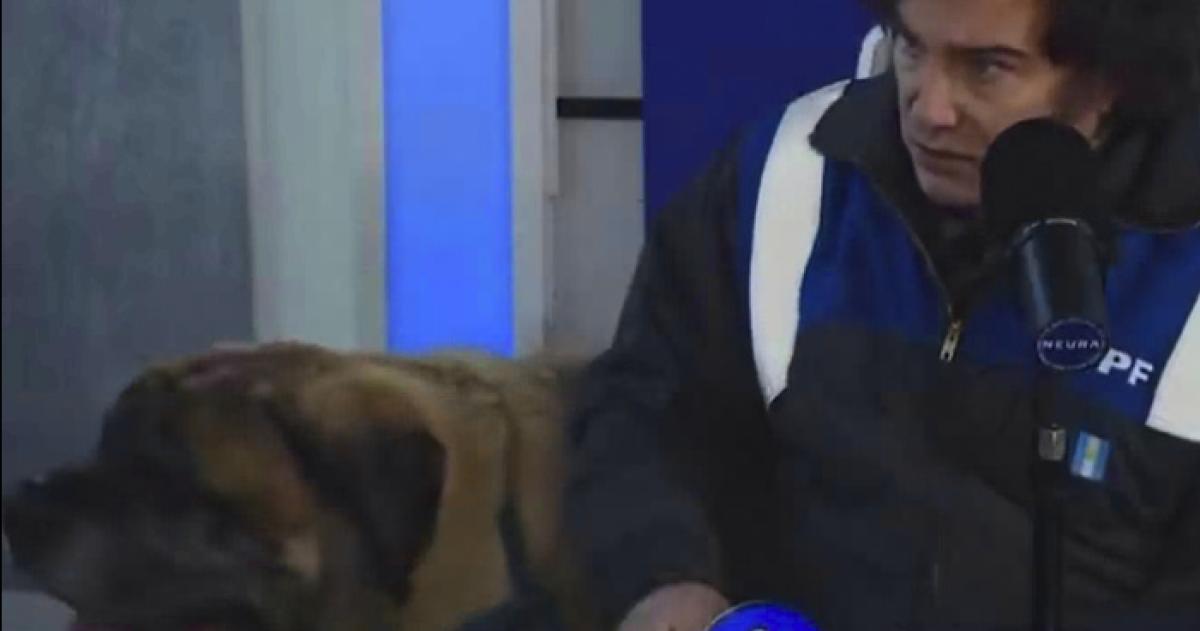 Javier Milei aparecioacute con su perro Conan en un programa de streaming