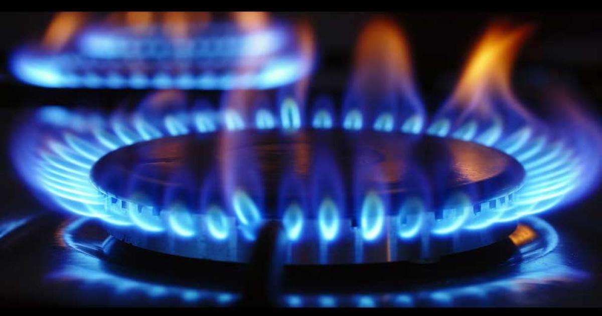 Emergencia por el gas- cortes a industrias limitan uso de GNC y restringen enviacuteos a Chile