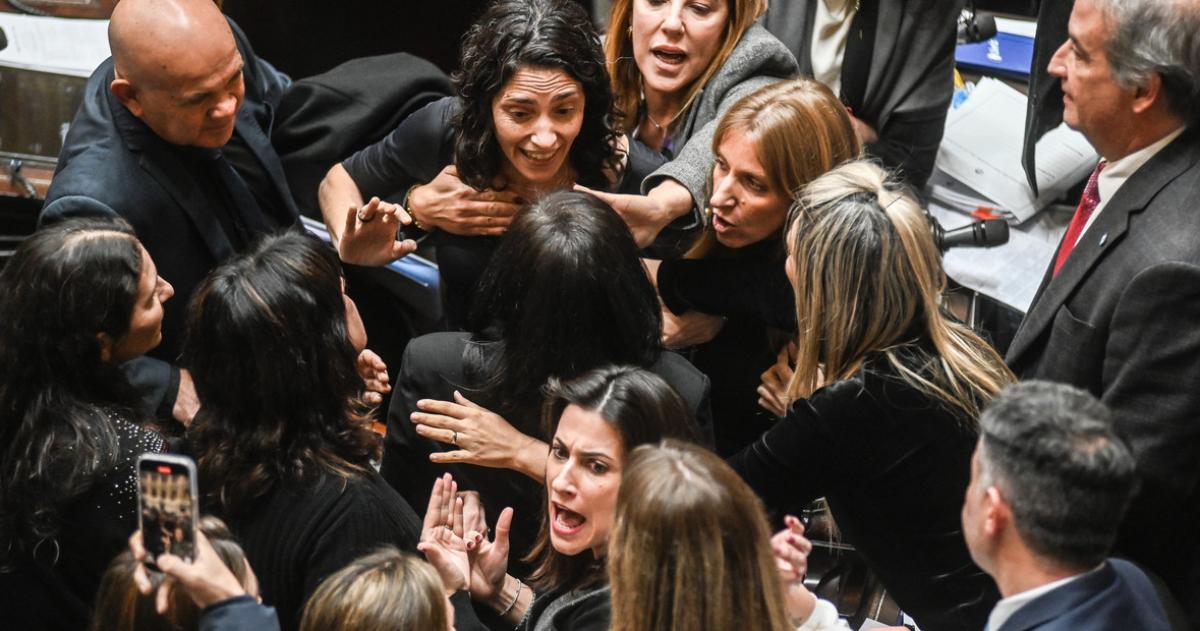 La sesioacuten en Diputados terminoacute en escaacutendalo con forcejeos e insultos 