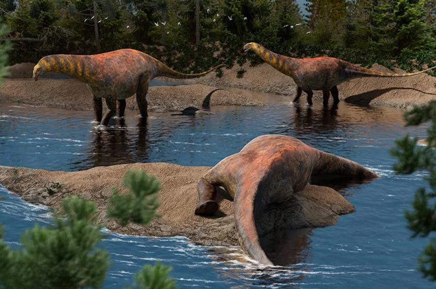 Descubren en Neuqueacuten una nueva especie de dinosaurio que vivioacute hace 95 millones de antildeos