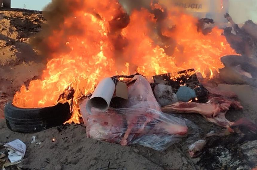 Decomisan 2000 kilos de carne ilegal con destino a Riacuteo Negro