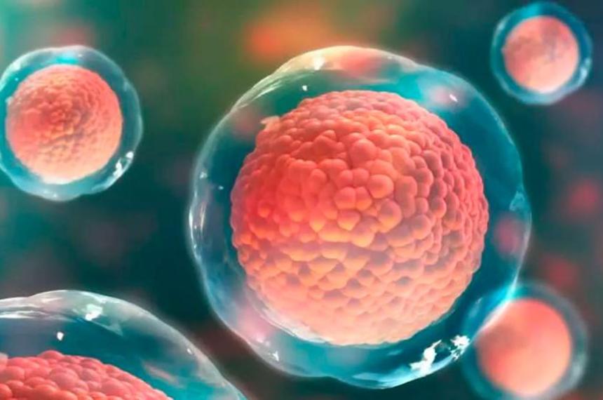 Cientiacuteficos detectan microplaacutesticos hasta en semen y ovarios