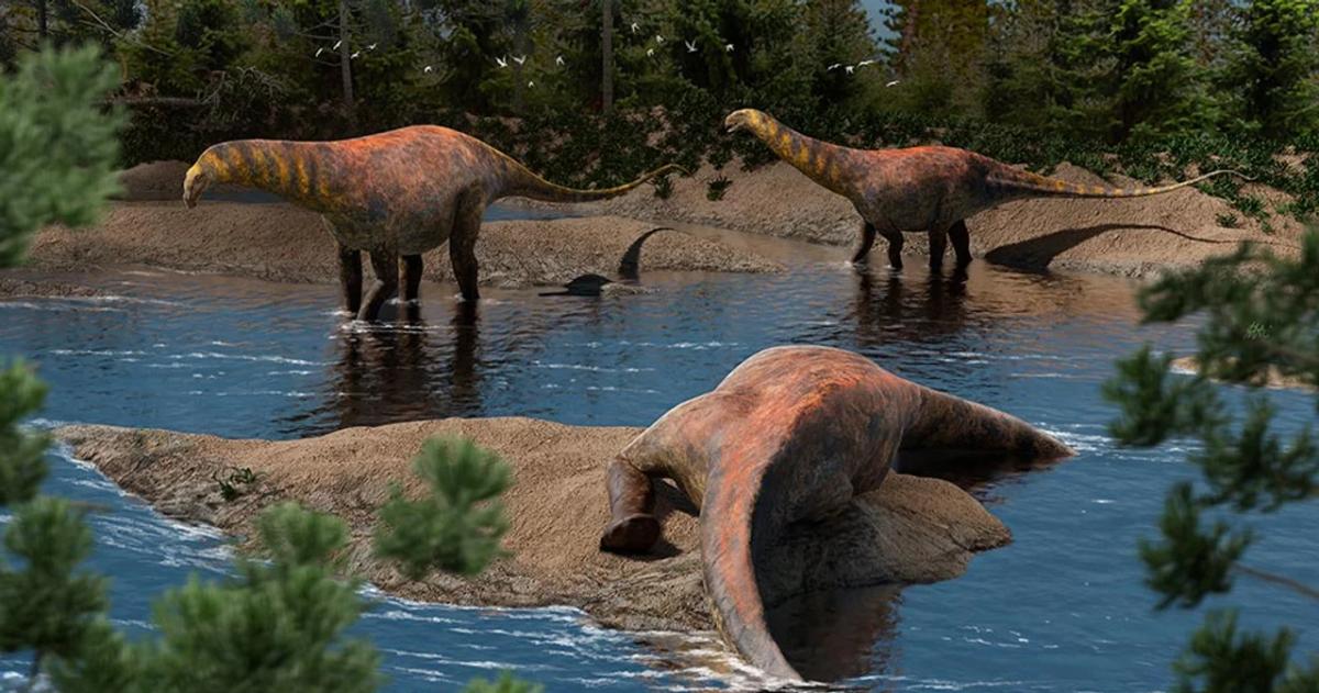Descubren en Neuqueacuten una nueva especie de dinosaurio que vivioacute hace 95 millones de antildeos