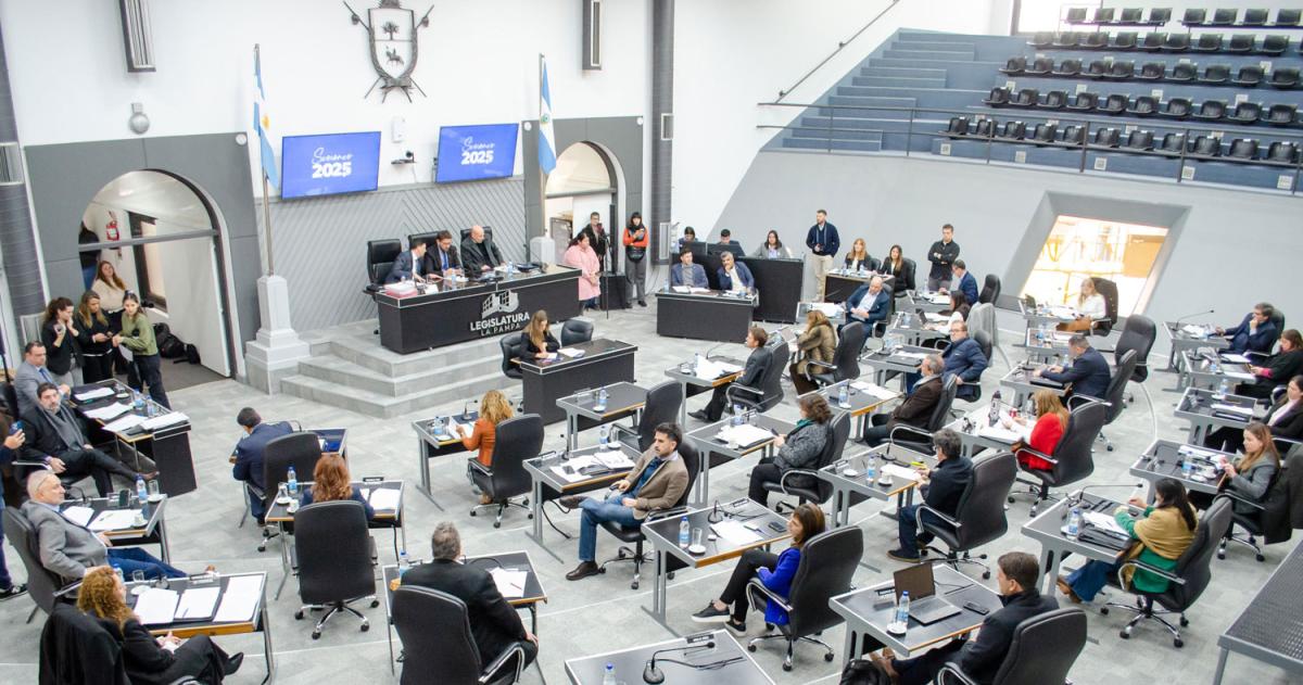 Diputados acordaron tratar en comisiones la contratacioacuten del data room para Medanito