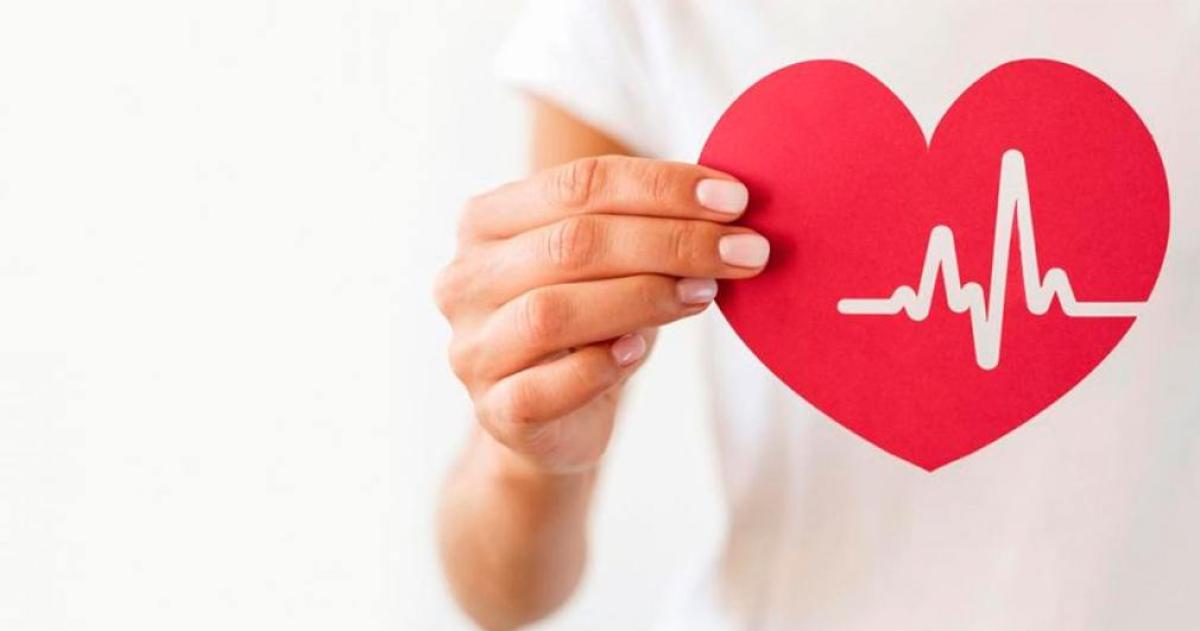 Coacutemo cuidar la salud cardiovascular en los diacuteas de friacuteos extremos