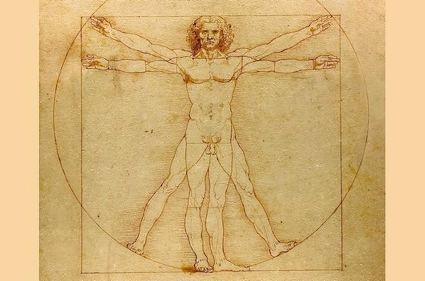 Un dentista resolvioacute el verdadero Coacutedigo Da Vinci- reveloacute el secreto geomeacutetrico oculto en el Hombre de Vitruvio